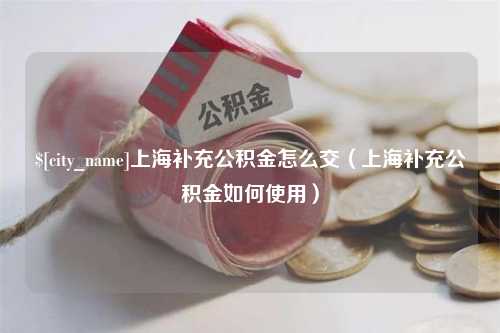 汶上上海补充公积金怎么交（上海补充公积金如何使用）